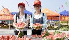 广西各个高校吃瓜,校园美食风云录