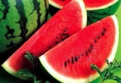 半夜吃梨瓜,揭秘午夜美食新宠