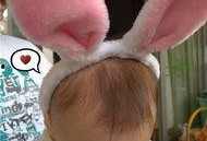 兔子牙吃白瓜,探寻白瓜的秘密