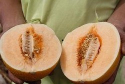 吃瓜中心吃最真实的瓜,吃瓜中心直击最真实瓜料