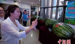 潍坊山东吃瓜群众,吃瓜群众的夏日狂欢