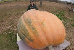 吃瓜吃吐了是什么意思,揭秘“吃瓜吃吐了”的深层含义