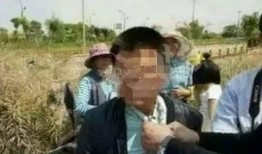 江苏盐城吃瓜事件始末,一场网络舆论的风波与反思