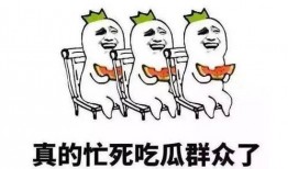 吃瓜都用什么网络用语,揭秘网络吃瓜用语背后的趣味与智慧