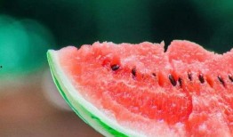 为什么热闹吃瓜,探究社会舆论的狂欢与反思