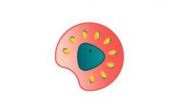 小明日常吃瓜,揭秘娱乐圈那些事儿