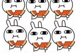 敷衍本衍吃瓜,揭秘娱乐圈幕后真相