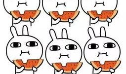 敷衍本衍吃瓜,揭秘娱乐圈幕后真相