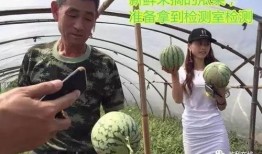 群众看戏吃瓜直播,群众看戏吃瓜，娱乐狂欢背后的社会现象