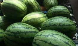 az吃瓜傲光,揭秘娱乐圈背后的真实故事