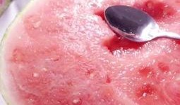 小黑在线吃瓜头像