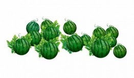 阿熙吃瓜,揭秘娱乐圈幕后故事