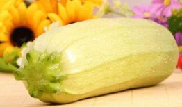 葫瓜可以吃吗,美味与营养的双重享受