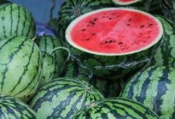 100个吃瓜,揭秘100种瓜果的奇妙世界