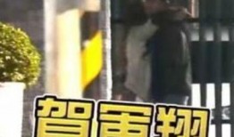 你刚刚吃瓜的那位