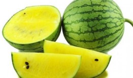 溪边吃瓜拍照图片,定格夏日美好时光