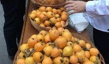 带你吃瓜枇杷饮料