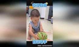 埋头吃瓜萌娃,萌态十足引网友热议