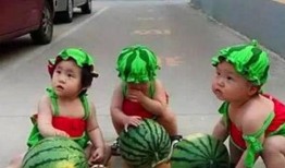 吃瓜三胞胎,揭秘娱乐圈的甜蜜“瓜田”生活