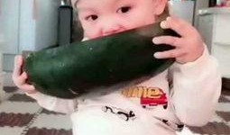 小朋友吃瓜视频