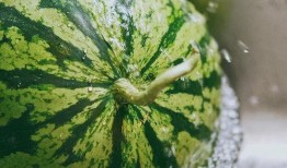 吃瓜散了,揭秘娱乐圈幕后真相