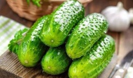 吃湿瓜好吗,吃湿瓜的好处与注意事项