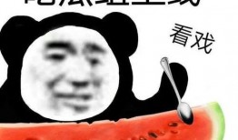 吃瓜反被指,揭秘网络舆论背后的真相