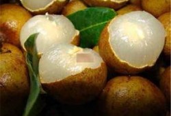 早孕敢吃蒲瓜吗,蒲瓜食用指南