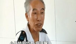 吃瓜摸胡子,揭秘娱乐圈的幕后故事