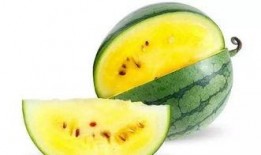 评课瓜瓜吃瓜,一场别开生面的教育盛宴