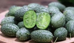 智慧的吃瓜,洞察世间百态