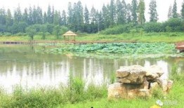 眉山湿地公园吃瓜,夏日消暑吃瓜好去处