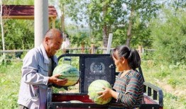 阿勒泰吃瓜视频最新