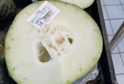 成都直播吃瓜,一场美食与娱乐的盛宴