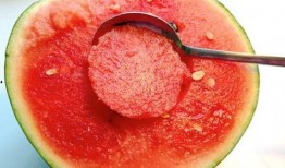 文安吃瓜原视频,一场网络狂欢背后的真相