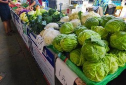 摆摊免费吃瓜,摆摊文化新潮流