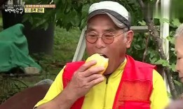 韩综舞台吃瓜,吃瓜群众揭秘明星幕后故事