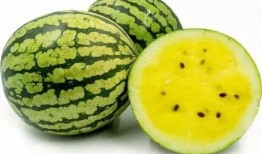 吃瓜的娟,揭秘娱乐圈幕后故事