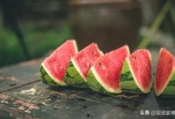 到了吃瓜的季节,畅享清凉吃瓜季