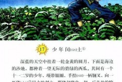 一只吃瓜猹,一只吃瓜猹的奇幻之旅