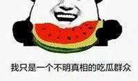 趣味吃瓜图片搞笑,趣味图片笑翻天