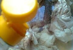 猪吃卧瓜,探寻猪与卧瓜的奇妙缘分