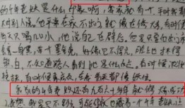 吃瓜议论文作文,网络议论文中的社会现象解析