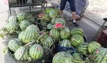 深圳中原吃瓜事件,一场职场风波的真相揭秘