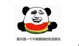 为什么热闹吃瓜,探究社会舆论的狂欢与反思