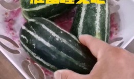 瓜吃瓜睡,吃瓜、睡觉，享受悠闲时光