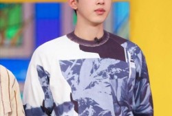 江小鱼吃瓜日记,揭秘娱乐圈幕后故事