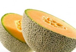 琼海16度吃瓜,夏日炎炎吃瓜时光