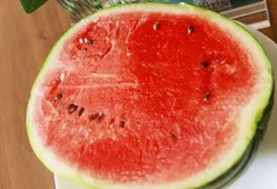 瓜瓜吃瓜全文,揭秘娱乐圈幕后真相