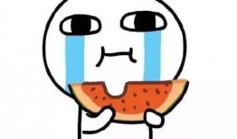 吃瓜反被指,揭秘网络舆论背后的真相